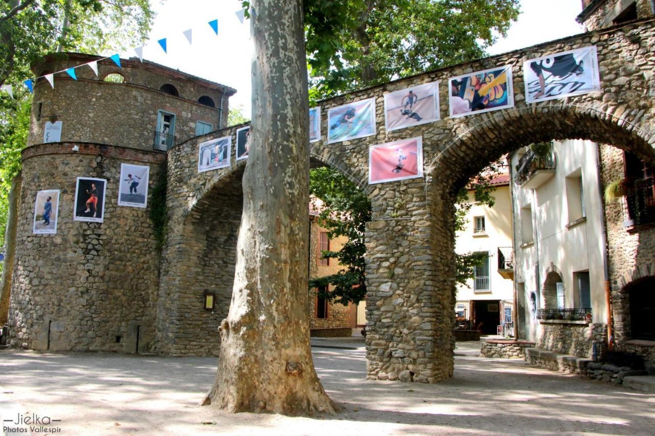 La Cigogne Apartment Ceret Exterior photo